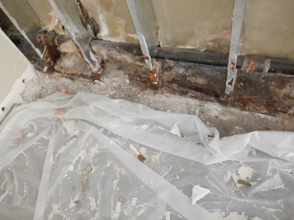 Expert leak detection experts serving Syracuse, UT - Floodsmen Disaster Cleanup