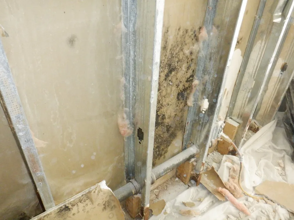 Trusted drain cleaning for homes in Syracuse, UT by Floodsmen Disaster Cleanup