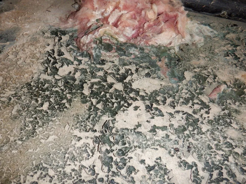 Slide of Floodsmen Disaster Cleanup