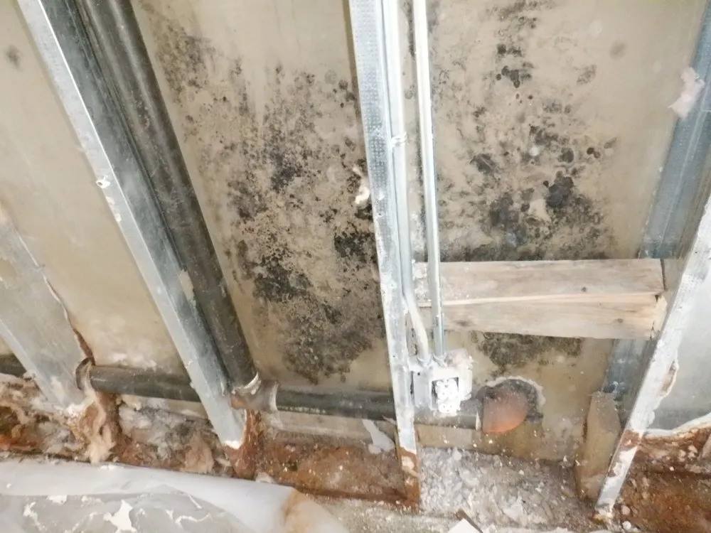 Slide of Floodsmen Disaster Cleanup