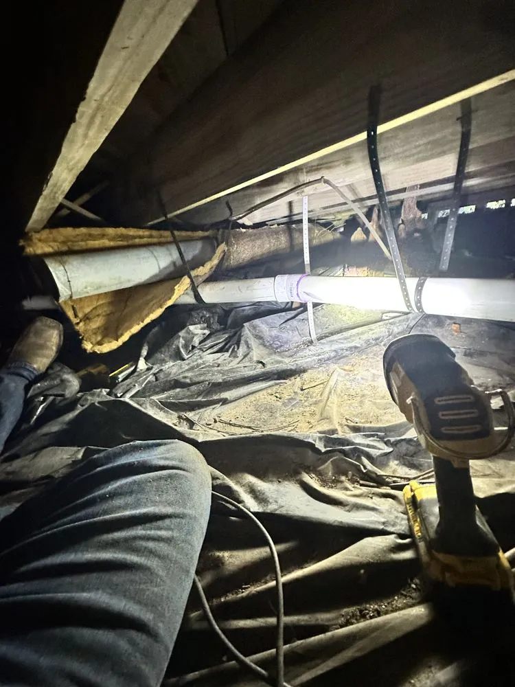 Slide of Flores plumbing