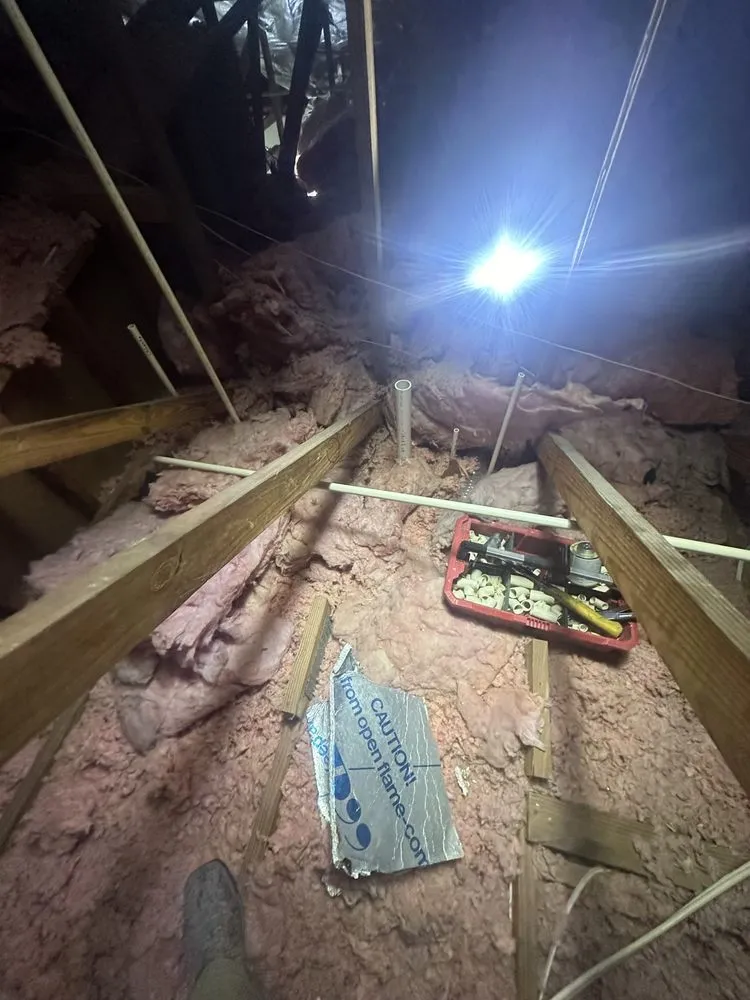 Slide of Flores plumbing