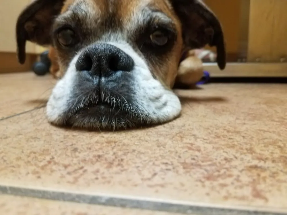 Slide of Florida Gas and Plumbing