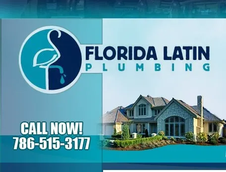Slide of Florida Latin Plumbing