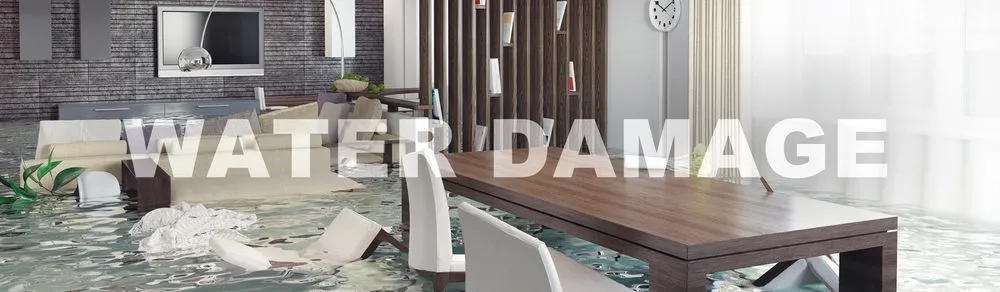 Slide of Florida Loss Center