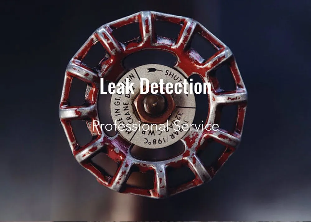 Slide of Florida Plumbing Service