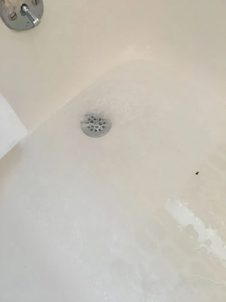 Slide of Florida Rooter