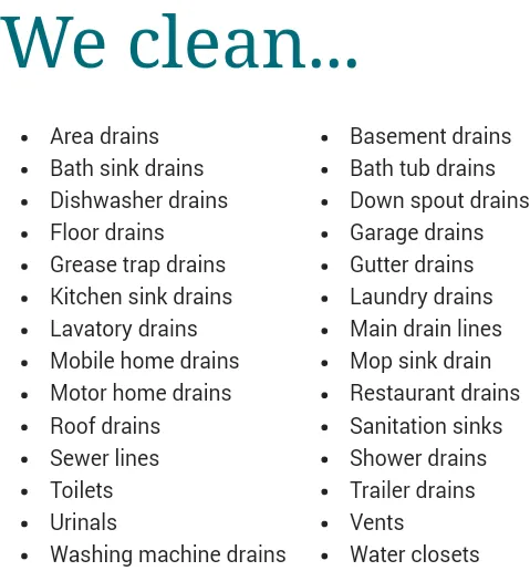 Slide of Florida Rooter