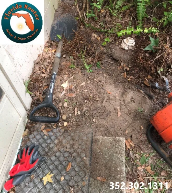 Slide of Florida Rooter