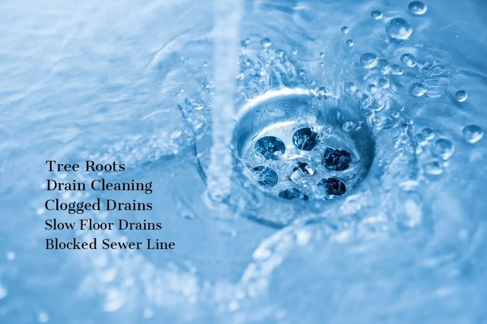 Slide of Florida Rooter