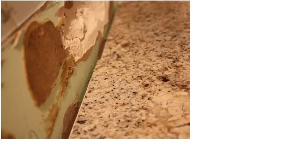 Slide of Florida Solid Counter Tops