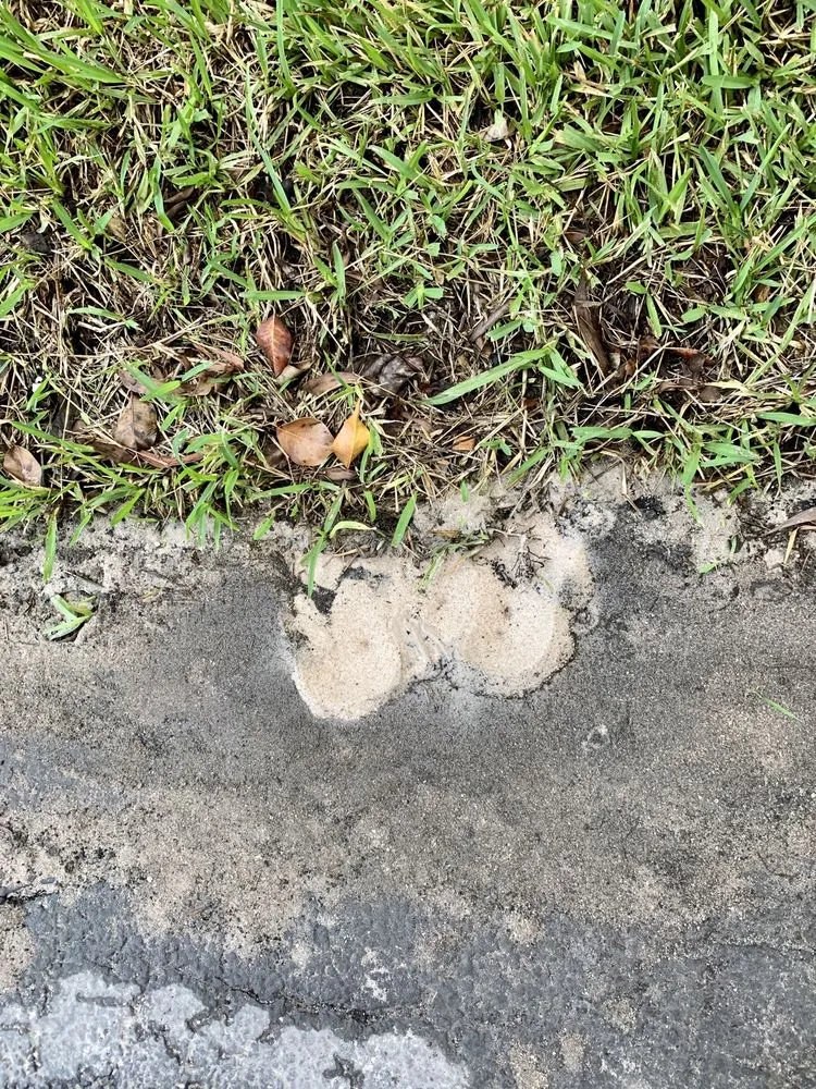 Slide of Florida Tropical Plumbing