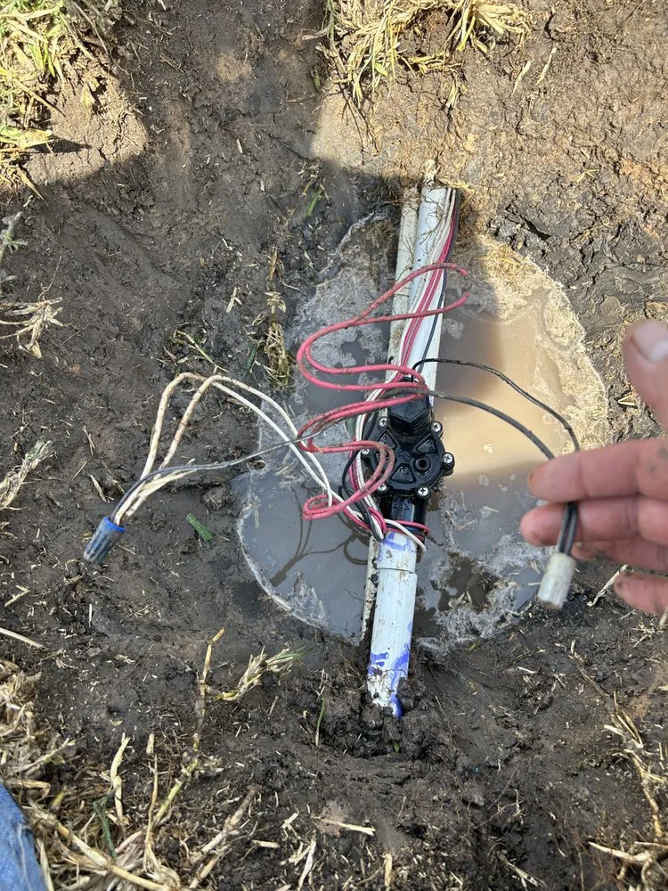 Slide of Florite Services