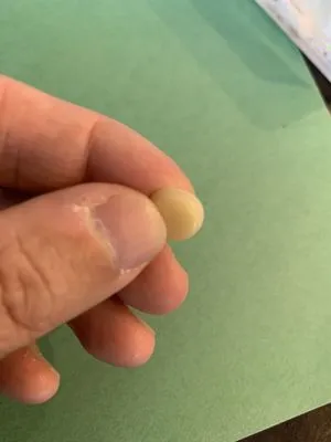 Flow Control Plumbing Logo