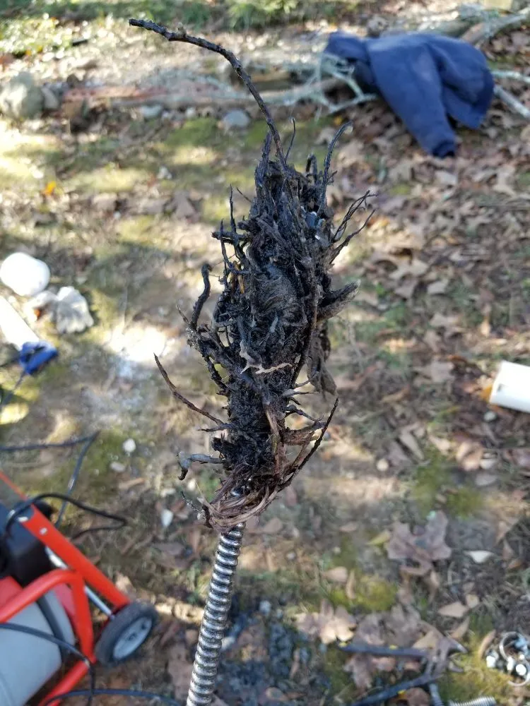 Slide of Flow Doctor Drain Cleaning