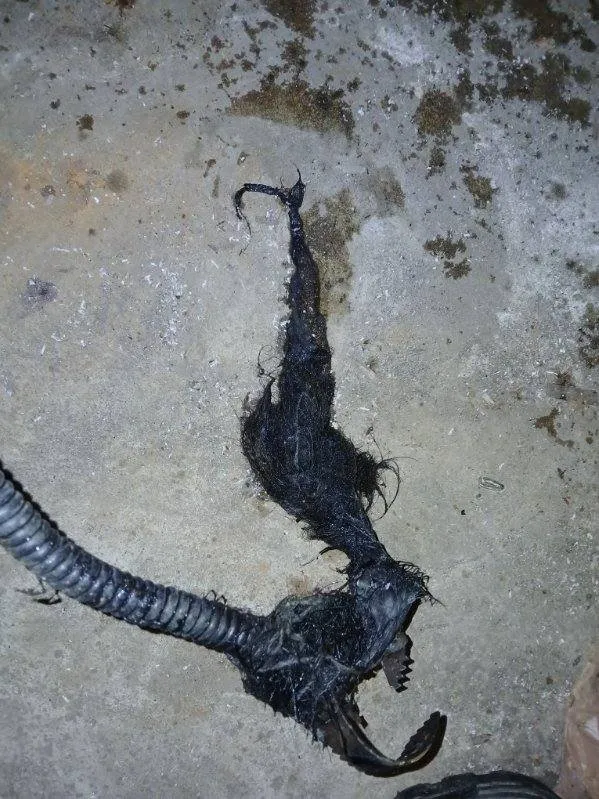 Slide of Flow Fix Services