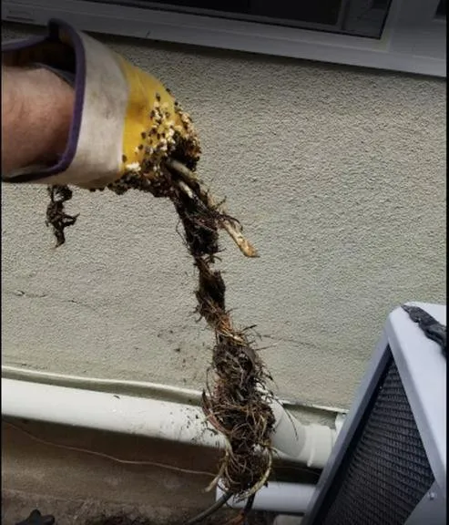 Slide of Flow Force Plumbing