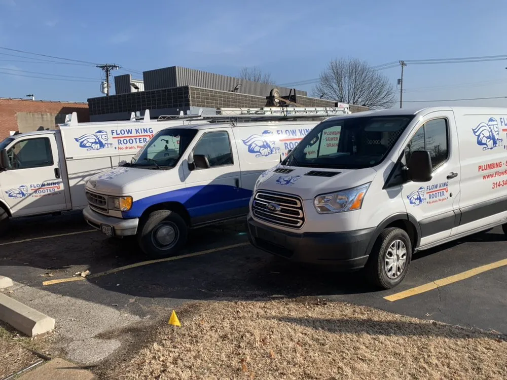 Slide of Flow King Rooter