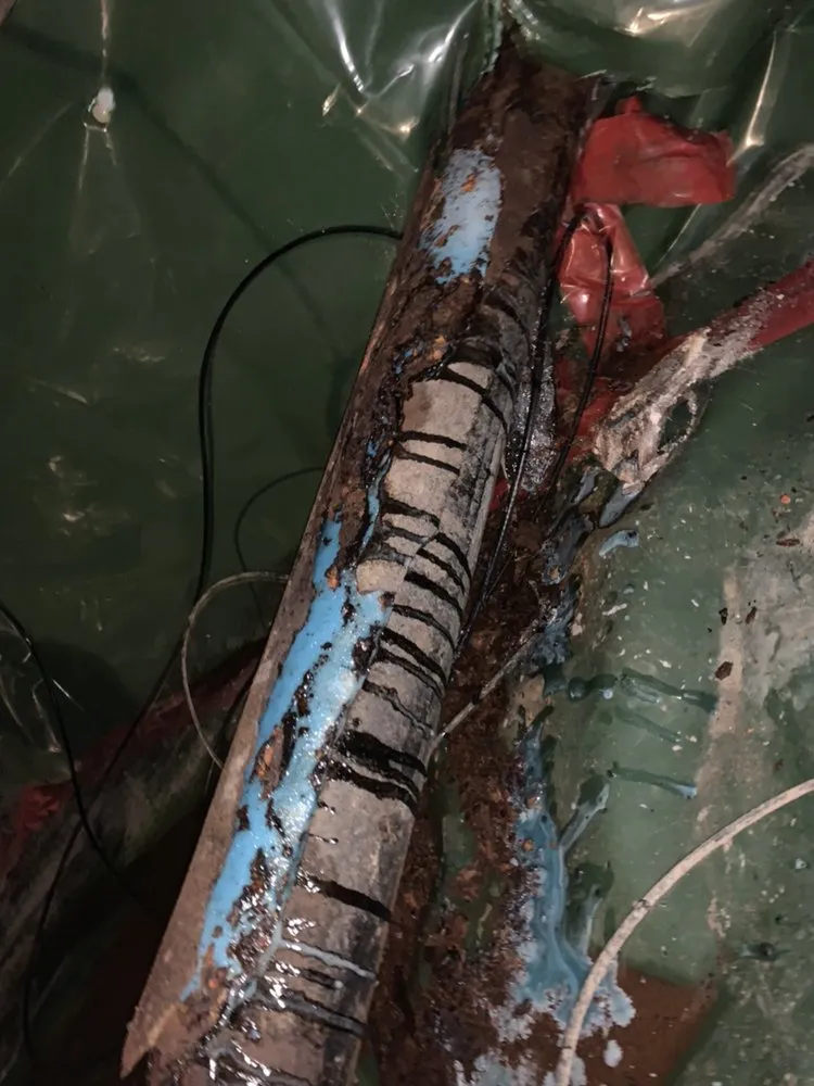 Slide of Flow King Rooter