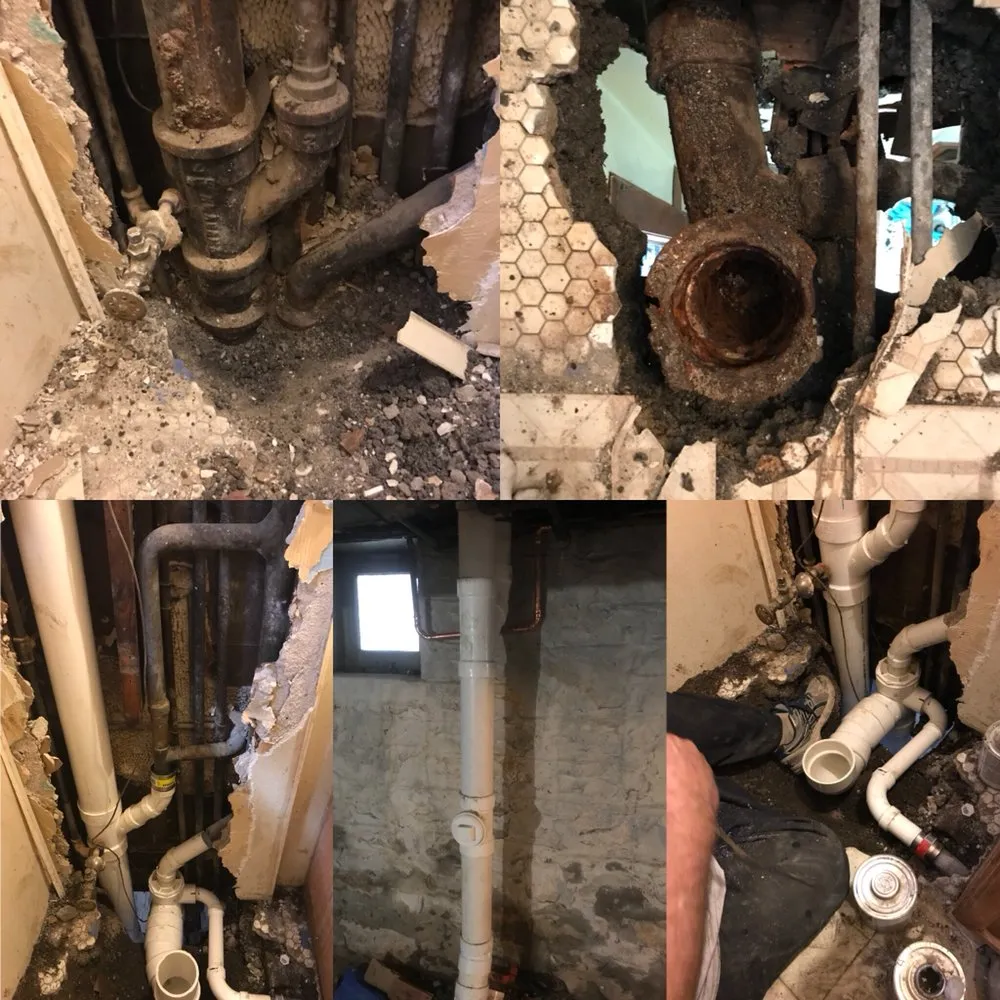 Slide of Flow King Rooter