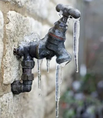 Flow King Rooter Logo