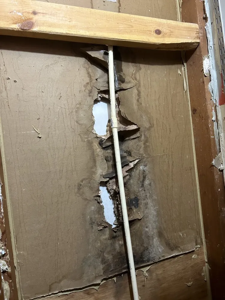 Slide of Flow Master Drain