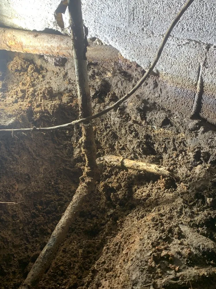 Slide of Flow Master Drain