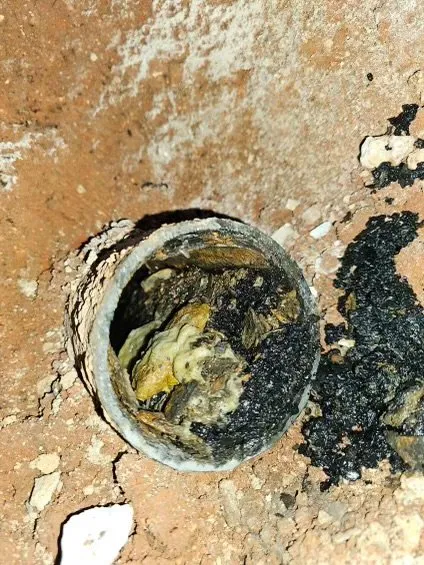 Slide of Flow Master Drain