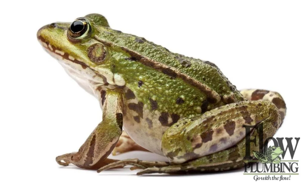 Slide of Flow Plumbing