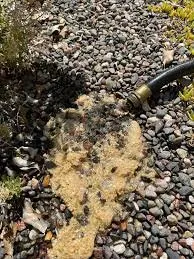 Slide of Flow With Us