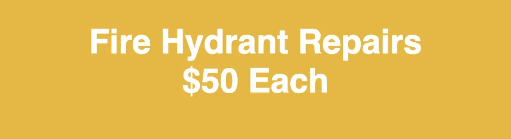 Slide of Flowman Inspection and Repairs