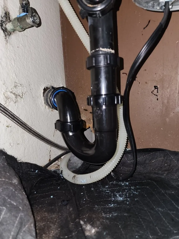 Slide of Flowman Rooter & P