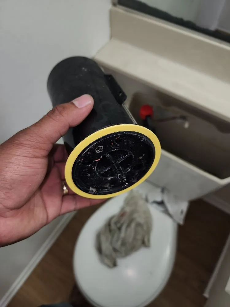 Slide of Flowman Rooter & P