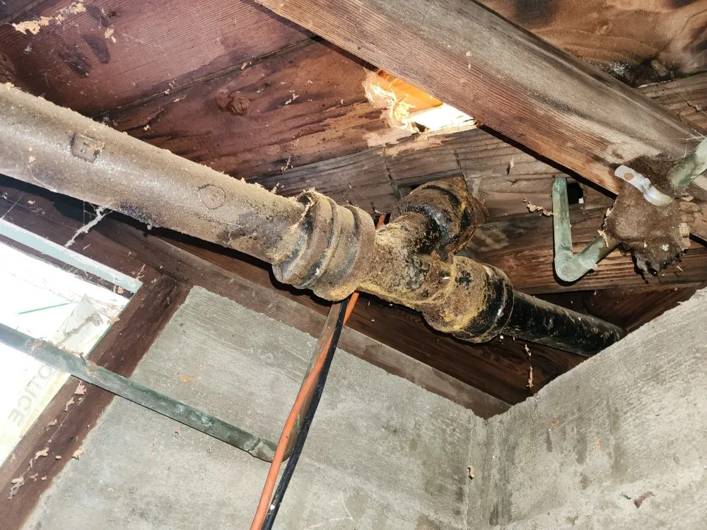 Slide of Flowman Rooter & P