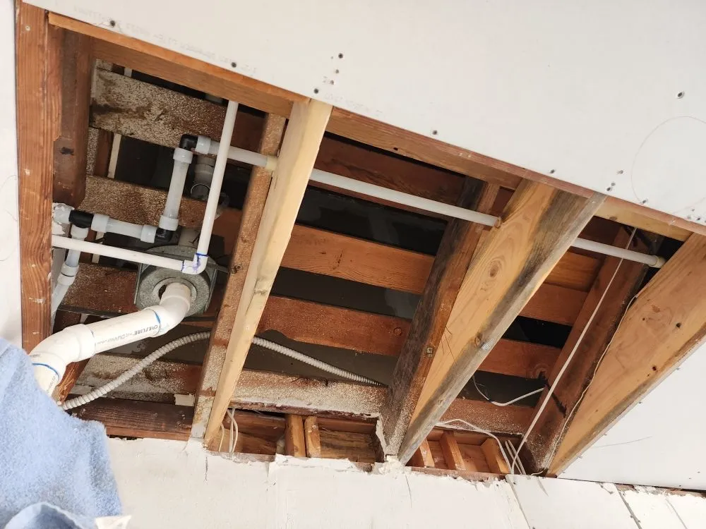 Slide of Flowman Rooter & P