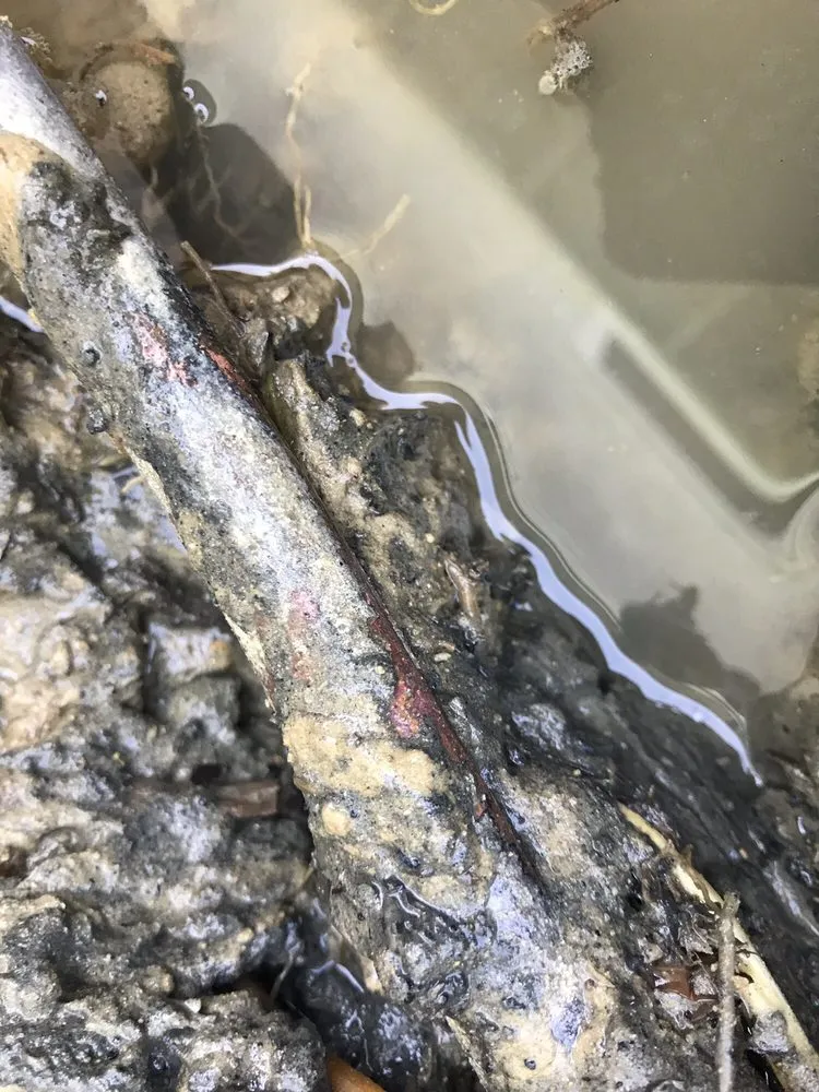 Slide of Fluid Plumbing