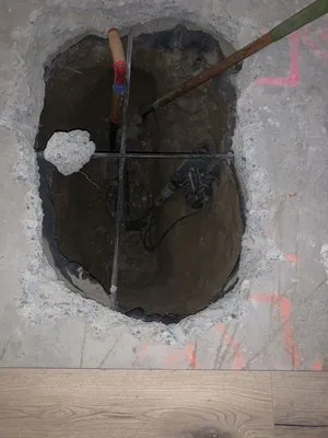 Flush & Flow Plumbing and Leak Detection Logo