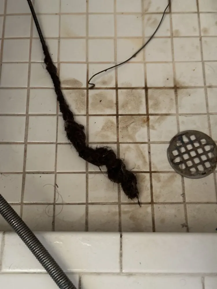 Slide of Flush-Away Rooter