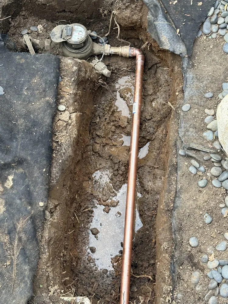 Slide of Flush-Away Rooter