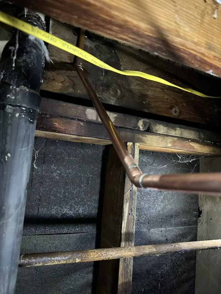 Slide of Flush-Away Rooter