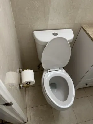 Flush-Away Rooter Logo