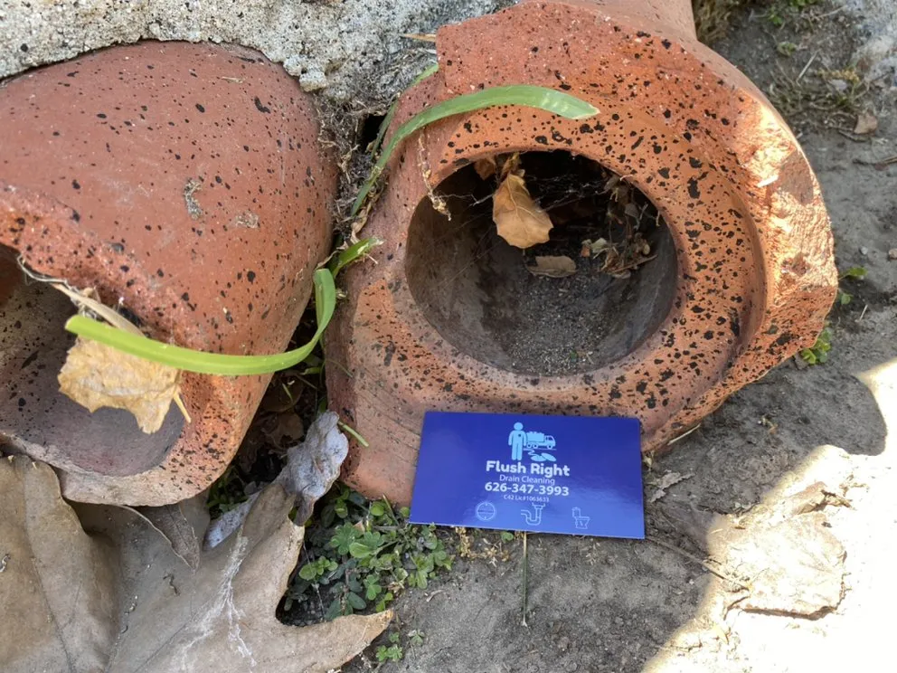 Slide of Flush Right Drain Cleaning