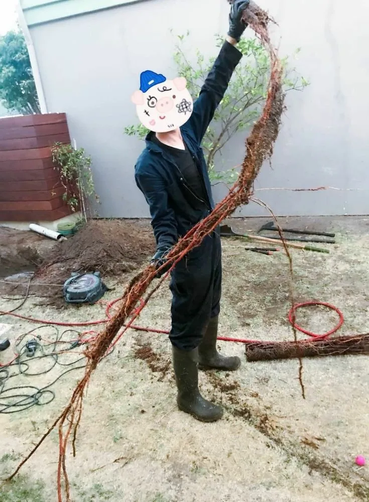 Slide of Flush Right Drain Cleaning