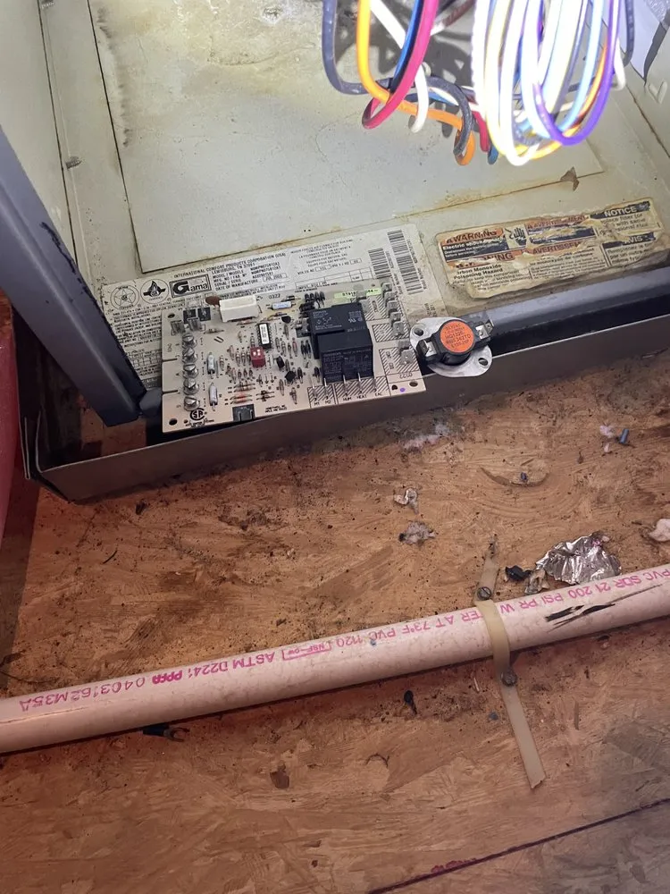 Slide of Fly Maintenance