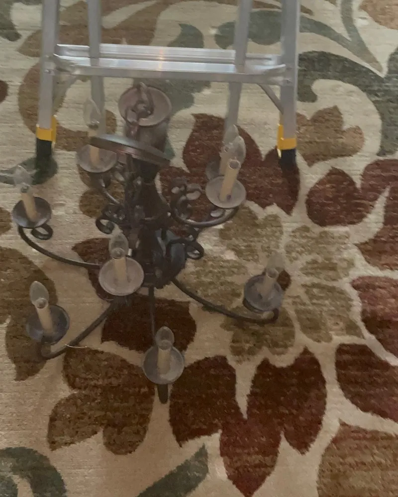 Slide of Fly Maintenance