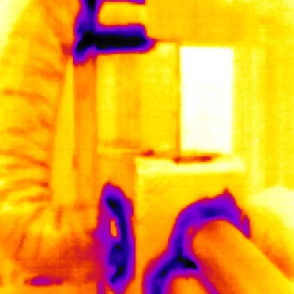 Slide of Fly Maintenance