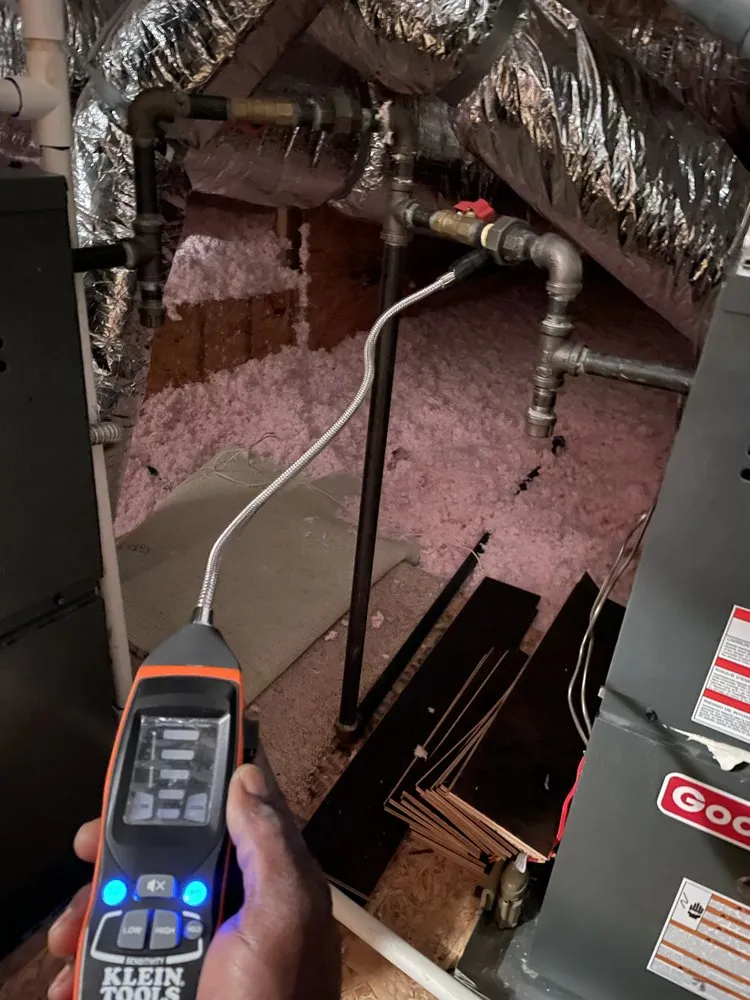 Slide of Fly Maintenance