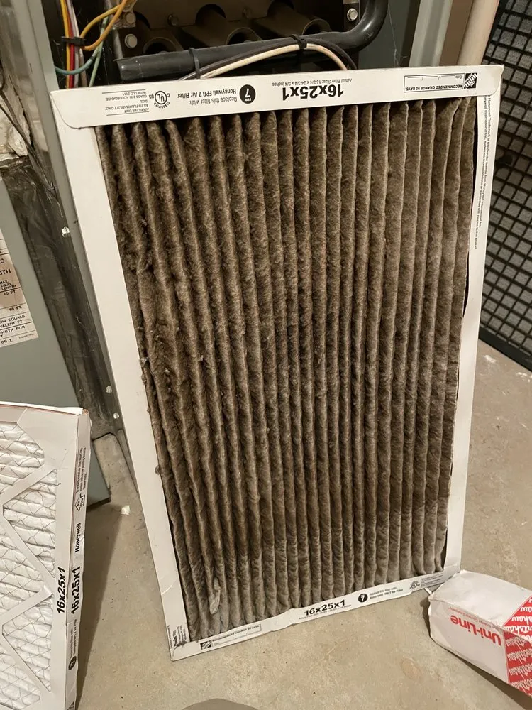 Slide of Fly Maintenance