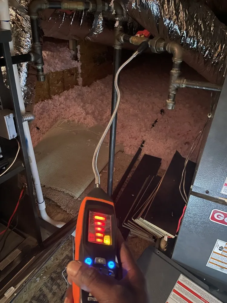 Slide of Fly Maintenance