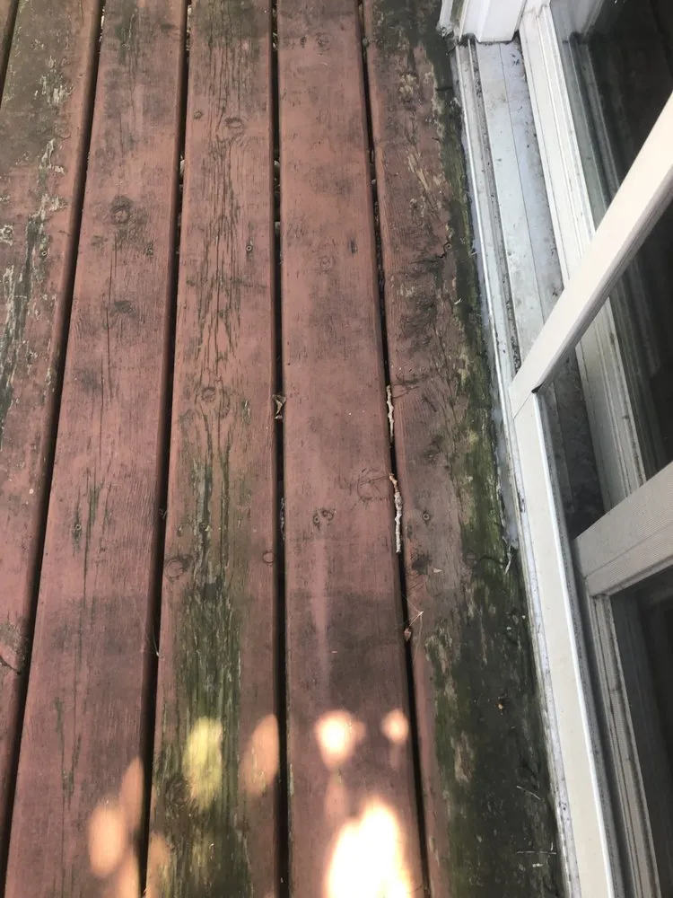 Slide of FM Drain Cleaning & Services